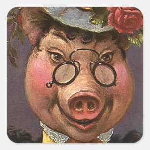 Sticker Carré Humour Vintage, Dame Cochon Victorienne Ridicule e