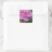 Sticker Carré Hydrangea à pompons roses Hortensia Fleur (Sac)