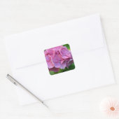 Sticker Carré Hydrangea à pompons roses Hortensia Fleur (Enveloppe)
