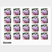 Sticker Carré Hydrangea garden, rose, bleu, purple floral (Feuille)