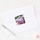 Sticker Carré Hydrangea garden, rose, bleu, purple floral (Enveloppe)
