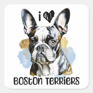 Sticker Carré I Love Boston Terriers