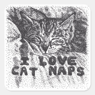 Sticker Carré I Love Cat Naps, chat dort