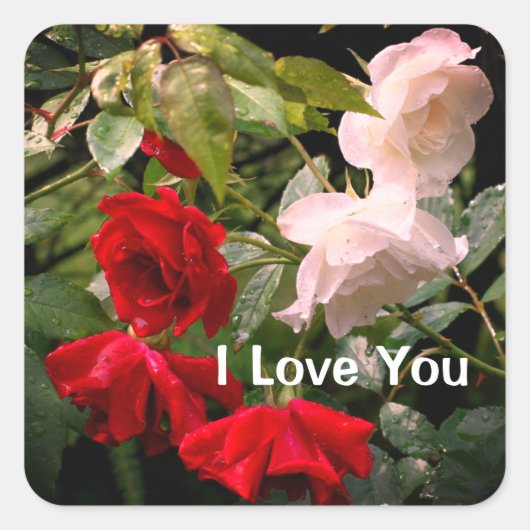 Sticker Carré I Love You Drenched Roses Floral (Devant)