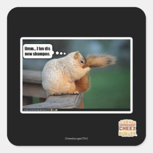 Sticker Carré I nouveau shampooing du luv DIS