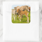 Sticker Carré Iceland. Dyrholaey. Icelandic (Sac)