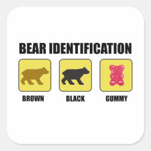 Sticker Carré Identification de l'ours Funny