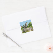 Sticker Carré Iguana (Enveloppe)