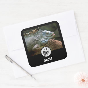 Sticker Carré Iguana Sauvage Silhouette Nom Balise Photo