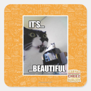 Sticker Carré Il est beau