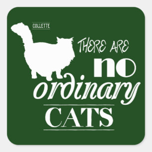 Sticker Carré Il n'y a aucun chat ordinaire