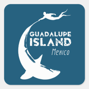 Sticker Carré Île de Guadalupe Mexique Plongée avec requins