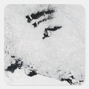 Sticker Carré Îles Balleny, près de l'Antarctique