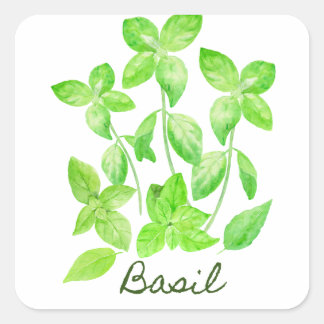 Sticker Carré Illustration de base d'aquarelle