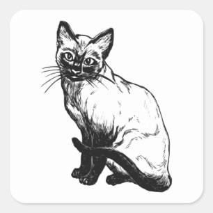 Sticker Carré Illustration de chaton mignon chat noir et blanc