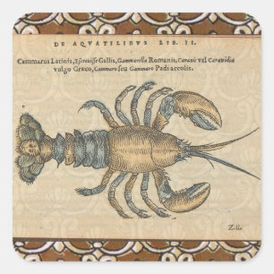 Sticker Carré Illustration de homard vintage : damas côtier