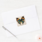 Sticker Carré Illustration de papillon vintage - Papillons (Enveloppe)