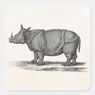 Sticker Carré Illustration de rhinocéros vintage des années 1800