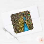 Sticker Carré Illustration Peacock Splendor (Enveloppe)