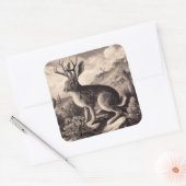 Sticker Carré Illustration Vintage Jackalope (Enveloppe)