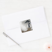 Sticker Carré Image couleur véritable de la neige (Enveloppe)