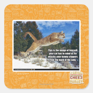 Sticker Carré Image de chat