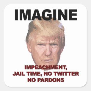 Sticker Carré Imaginez La Perpétuité, La Prison, Pas Twitter, Pa