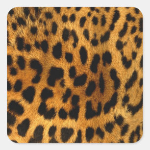 Sticker Carré Impression de fourrure Leopard