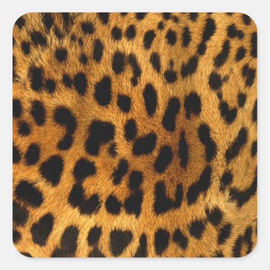 Sticker Carré Impression de fourrure Leopard (Devant)