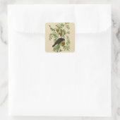 Sticker Carré Impression d'oiseau Grackle violet d'Audubon Botan (Sac)