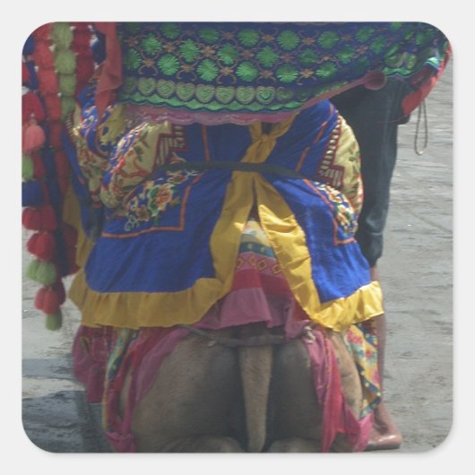 Sticker Carré Imprimé/graphique en forme de chameau (Devant)