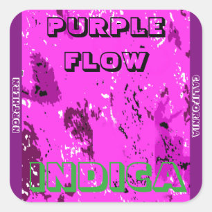 STICKER CARRÉ INDICA À FLUX VIOLET