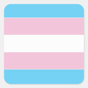 Sticker Carré Indicateur de fierté transexuelle