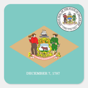 Sticker Carré Indicateur du Delaware