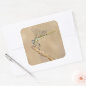 Sticker Carré Insecte femelle de libellule d'écumeur (CC BY 4.0) (Enveloppe)