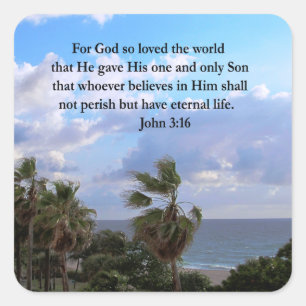 STICKER CARRÉ INSPIRING JOHN 3:16 PHOTO