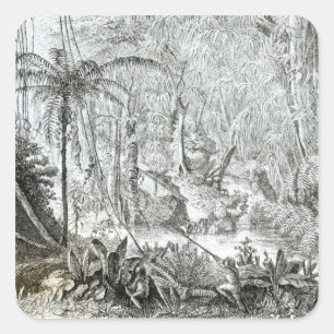 Sticker Carré Intérieur d'une forêt primitive dans les Amazone