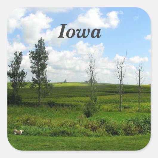 Sticker Carré Iowa (Devant)