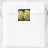 Sticker Carré Iris Iris Iris Lourds Fleurs Floral Amour (Sac)
