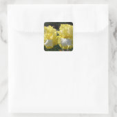 Sticker Carré Iris Iris Iris Lourds Fleurs florales (Sac)