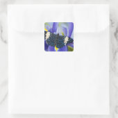 Sticker Carré Iris Pourpre Papillon Tropical (Sac)
