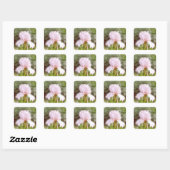 Sticker Carré Iris rose - Vanity (Feuille)