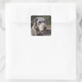 Sticker Carré Irish Wolfhound Je Ne Suis Pas Amusé, (Sac)