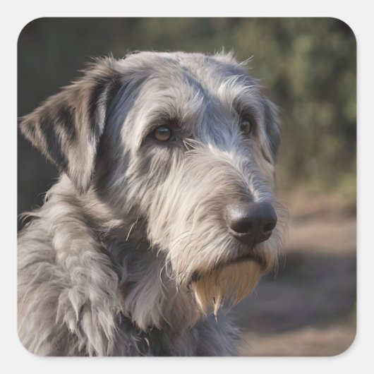 Sticker Carré Irish Wolfhound Je Ne Suis Pas Amusé, (Devant)