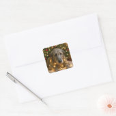 Sticker Carré Irish Wolfhound Tangled In Holiday Lights (Enveloppe)