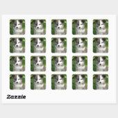 Sticker Carré Islandhundwelpe Splitface (Feuille)