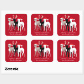Sticker Carré Italien Greyhound Christmas Iggy (Feuille)