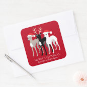 Sticker Carré Italien Greyhound Christmas Iggy (Enveloppe)