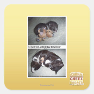 Sticker Carré iz hadz m. snuggies