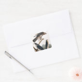 Sticker Carré J.J. Audubon (Goshawk, Stanley Hawk) (1829) (Enveloppe)